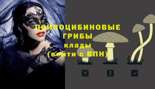 бошки Аркадак