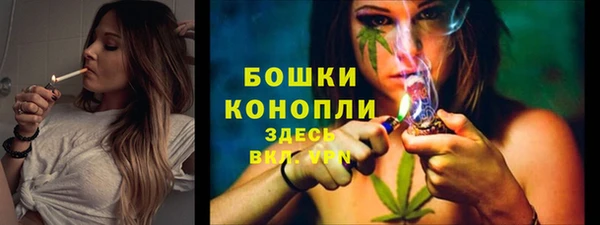 бошки Аркадак