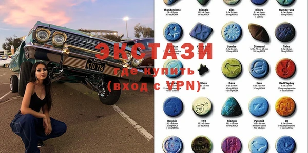 стафф Гатчина