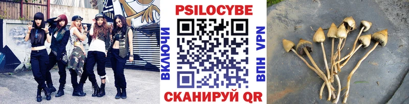 Галлюциногенные грибы прущие грибы  продажа наркотиков  Валдай 